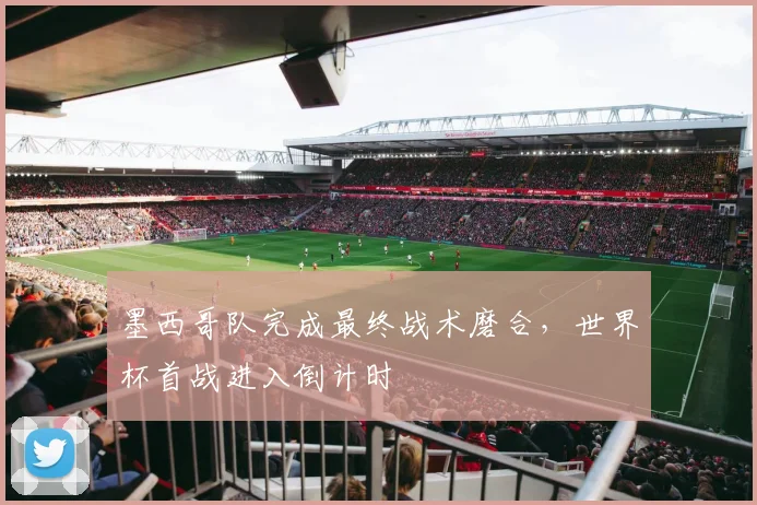 墨西哥队完成最终战术磨合,世界杯首战进入倒计时
