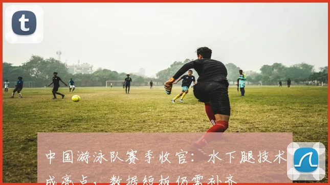 中国游泳队赛季收官：水下腿技术成亮点，数据短板仍需补齐