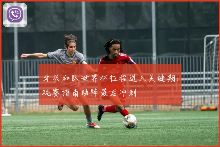 牙买加队世界杯征程进入关键期,观赛指南助阵最后冲刺