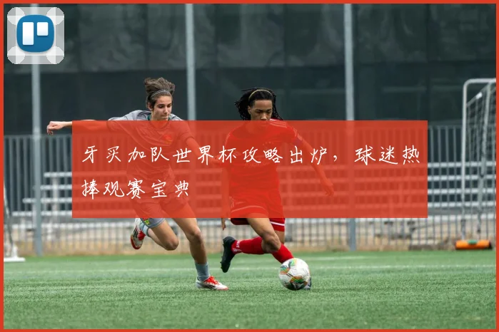 牙买加队世界杯攻略出炉,球迷热捧观赛宝典